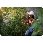 Теплиця садова 2.5 x 4 м (10 м²) рожевий Plonos - Оригінальний та функціональний - Зображення 11