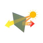 Теплиця садова 3 x 6 м (18 м²) Plonos - Прекрасне рішення для вашого саду - Зображення 14