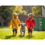 Ємність для дощової води 650 л Plonos PL-522 - Ваш шлях до більш екологічного майбутнього - Зображення 12