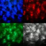 Прожетор LED з колонкою ZAR0557 - Зображення 8